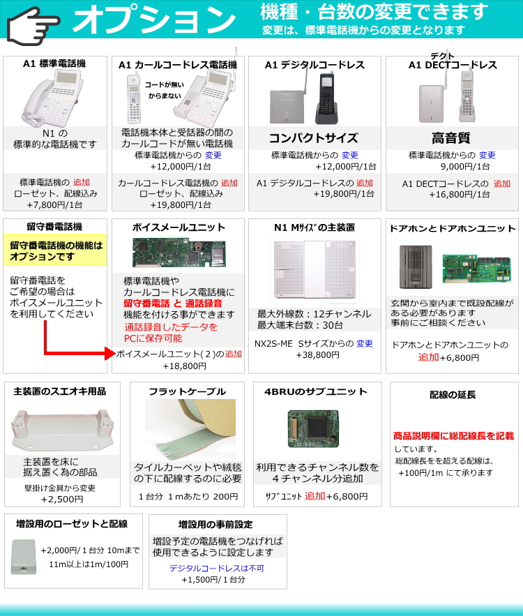 N1 オプション